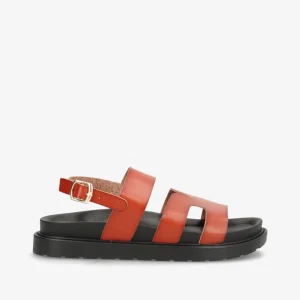 Sandal - Camel - 5108