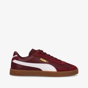 CLUB ll Era - Sneakers Dame - Bordeaux