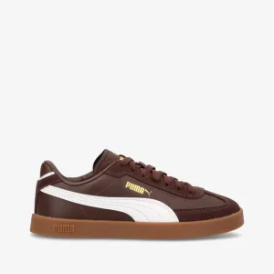 CLUB ll Era - Sneakers Dame - chocolate brown